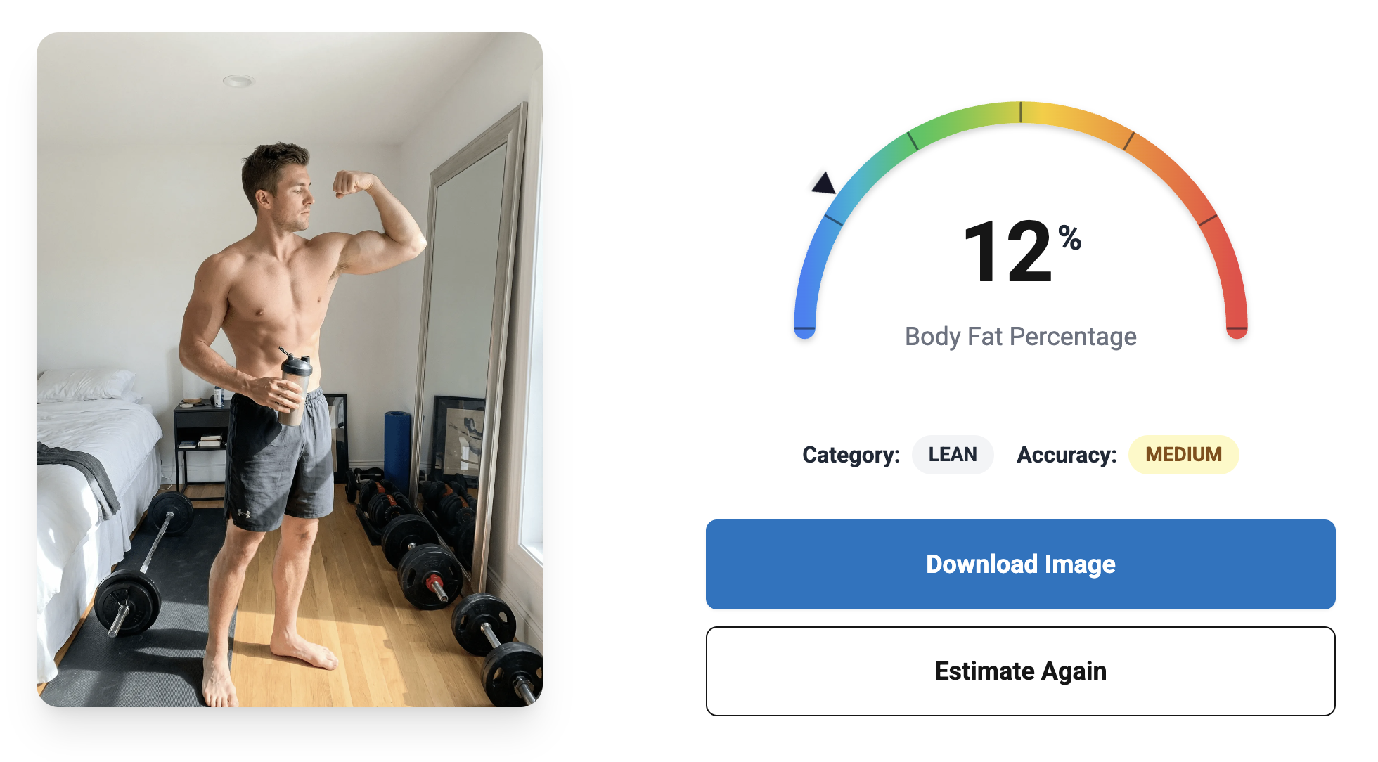 AI body fat estimation result screenshot